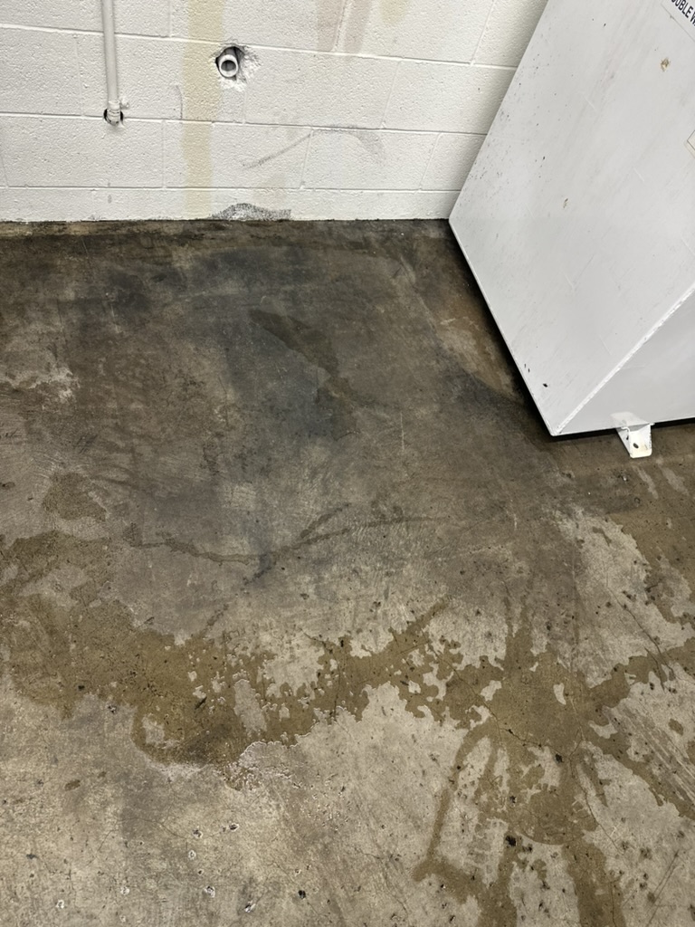 Stained concrete before pressure washing